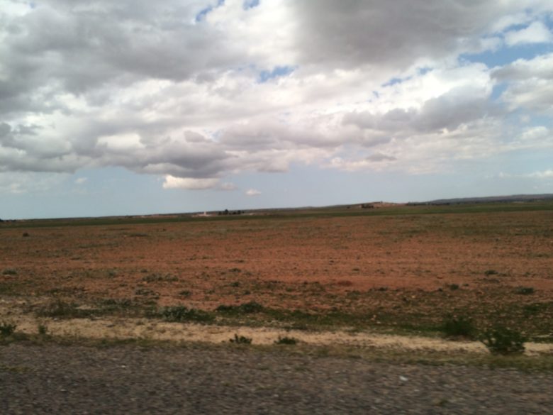 During the three-hour drive from the Marrakech airport to Essaouira, we watched the landscape change.