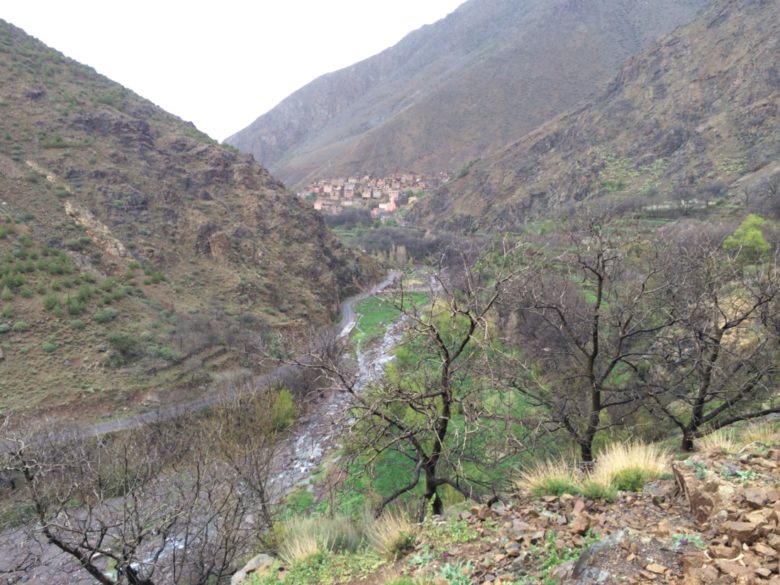 Same creek as the first picture, from higher up.