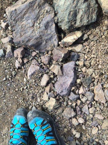 When I wasn't trying to capture the fact that we were walking on loose rocks next to a steep cliff, I was trying to catch how purple the rocks were.