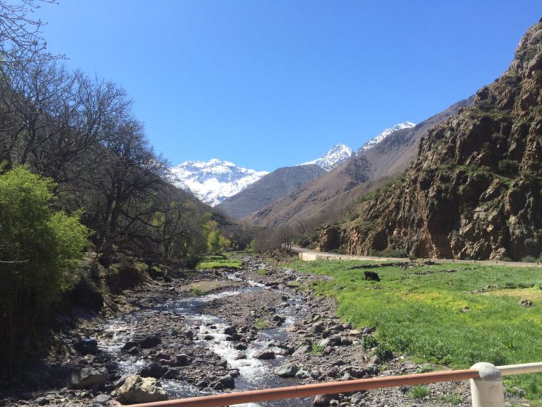 I thought I recognized the creek; it's the spot where we first met Ibrahim and Mohammed on Day 1.